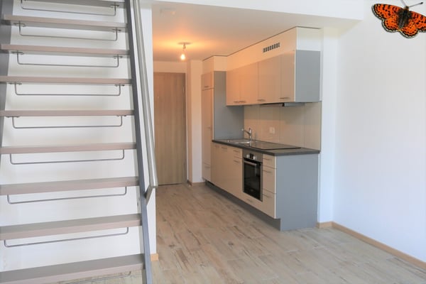 LOFT - CENTRE VILLE PAYERNE ! 4