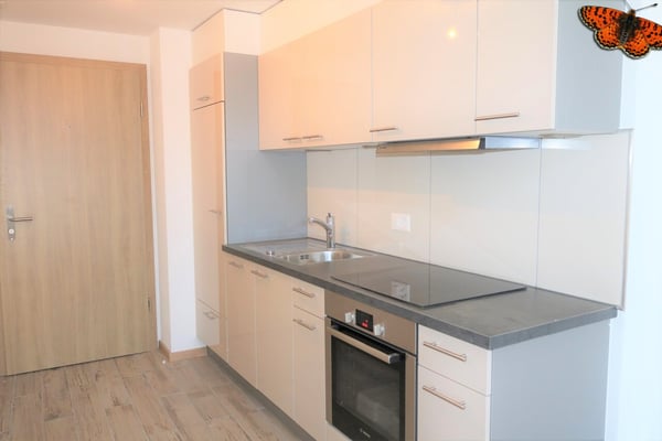 LOFT - CENTRE VILLE PAYERNE ! 3