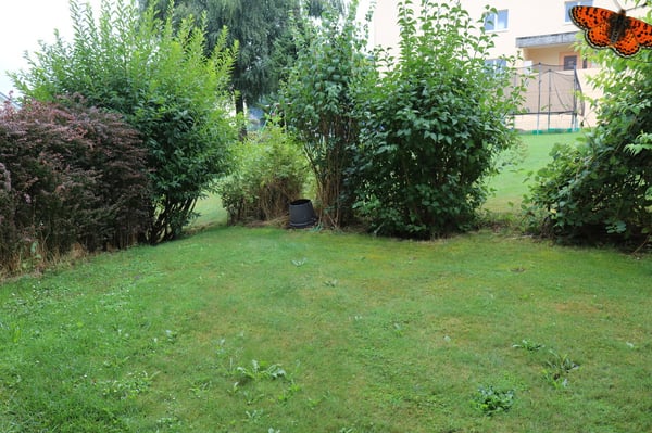 2 PIÈCES - Avec une belle terrasse ! 7