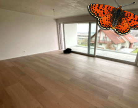 2½ PIÈCES - Grand balcon 5