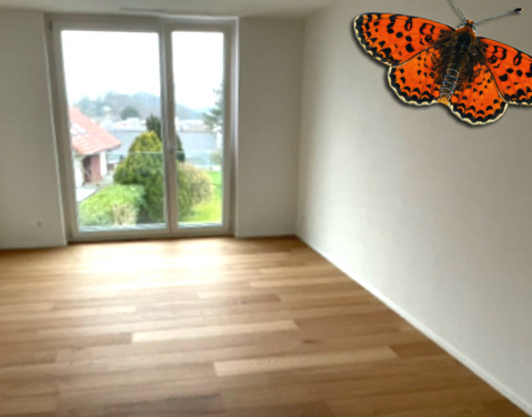 2½ PIÈCES - Grand balcon 9