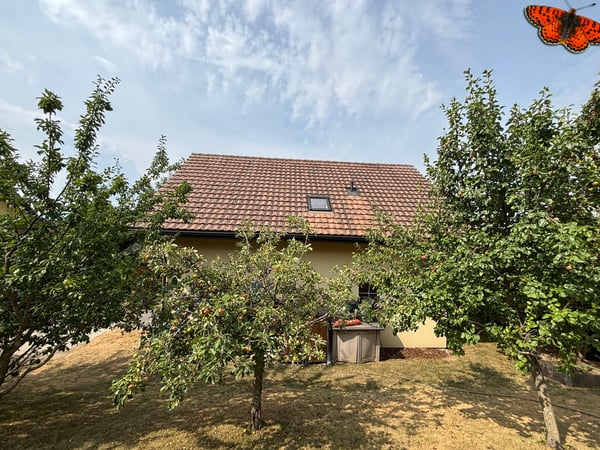 Maison individuelle à vendre à Ursy ! 13