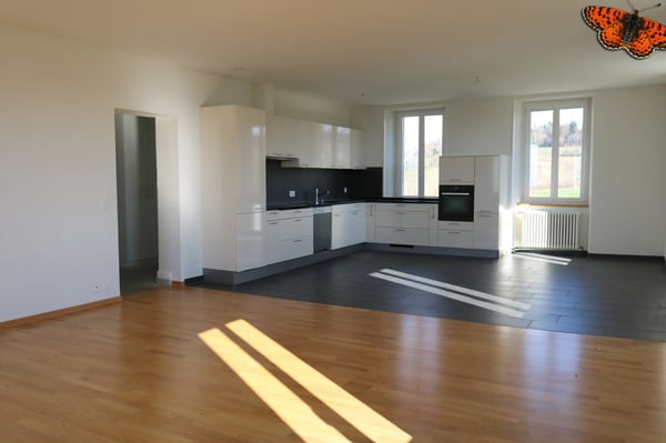 4 ½ PIÈCES - Très lumineux et avec jardin ! 1