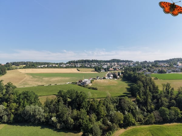 3.5 pièces à Villars-sur-Glâne, avec jardin privatif 1