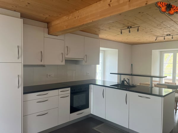 GRAND APPARTEMENT DE 2 ½ PIECES DANS MAISON VILLAGEOISE 1