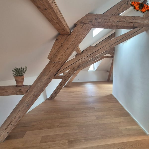 Magnifique loft au coeur de Bulle 6