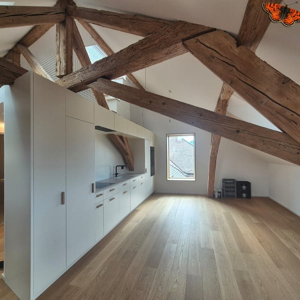 Magnifique loft au coeur de Bulle