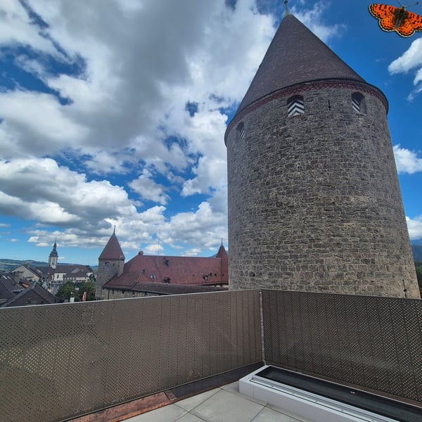 Magnifique loft au coeur de Bulle 9