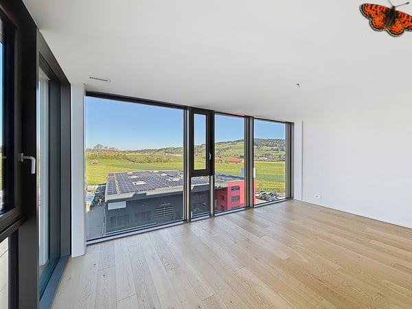 À VENDRE À BULLE - SUPERBES LOCAUX COMMERCIAUX À LA PÂLA ! 7