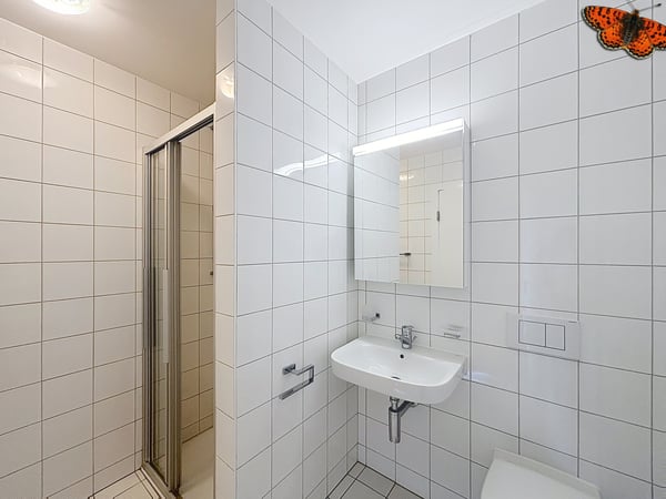 À VENDRE À BULLE - SUPERBES LOCAUX COMMERCIAUX À LA PÂLA ! 8