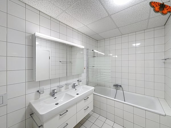 À VENDRE À BULLE - SUPERBES LOCAUX COMMERCIAUX À LA PÂLA ! 9