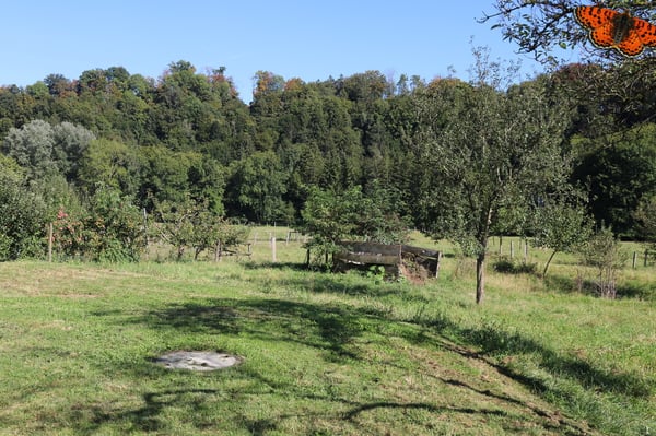 3½ PIÈCES - CADRE IDYLLIQUE 10