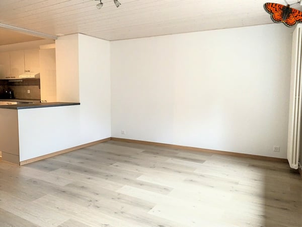 3½ PIÈCES - Esprit loft! 3
