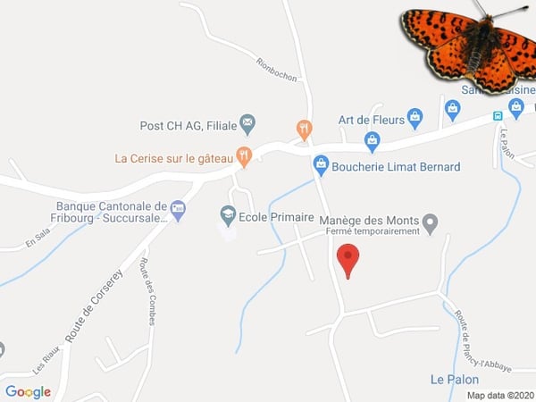 4 ½  pièces - Quartier résidentiel ! 11