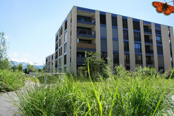 3 ½ PIÈCES AU REZ-DE-CHAUSSÉE - avec jolie terrasse ! 1