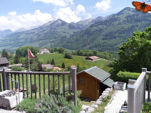 5 ½ pièces au Sciernes d'Albeuve dans un cadre bucolique ! 4