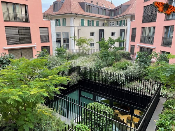 2 ½ pièces meublé au centre-ville de Bulle 7