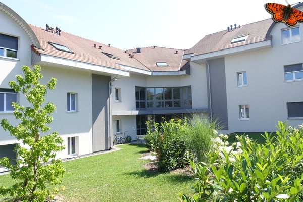 3 ½ pièces à Siviriez dans un endroit calme 1