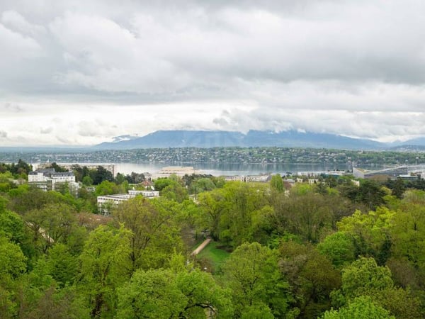 Bel appartement - Genève 2