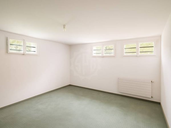 Villa lumineuse - Cointrin 11