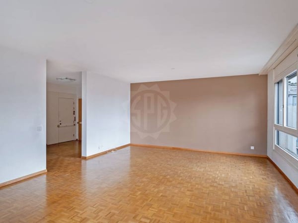 Appartement spacieux - Genève 2