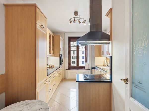 Ravissant appartement - Genève 3