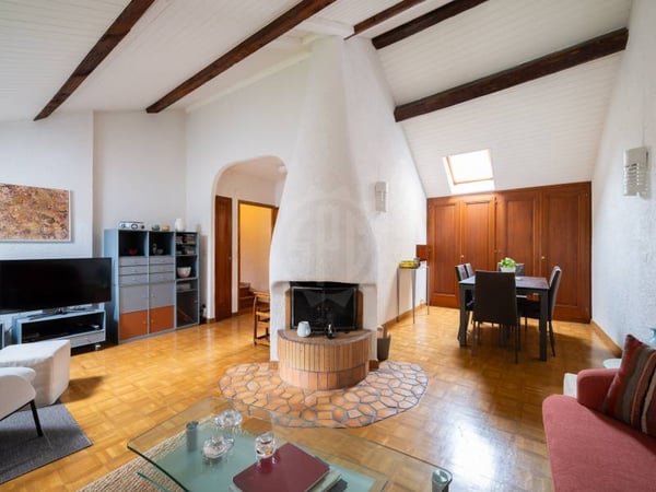 Charmant appartement - Chêne-Bougeries 1