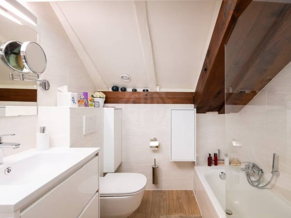 Charmant appartement - Chêne-Bougeries 9