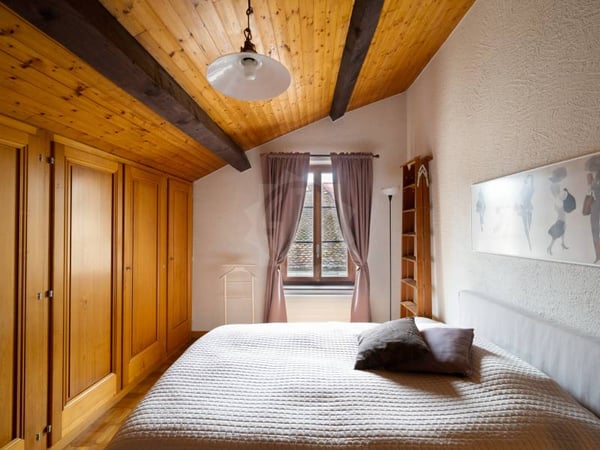 Charmant appartement - Chêne-Bougeries 7