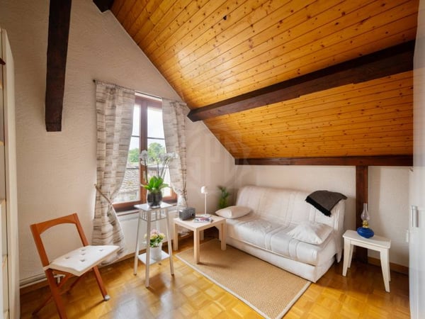 Charmant appartement - Chêne-Bougeries 8