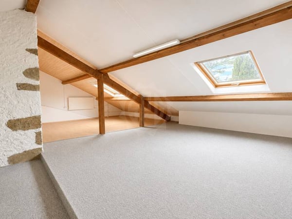 Grande villa - Aire-la-Ville 12