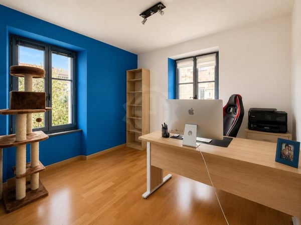 Appartement lumineux - La Plaine 6