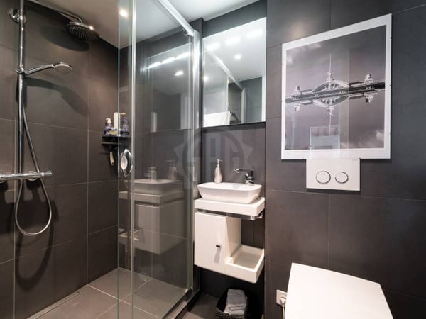 Chaleureux appartement - Chêne-Bourg 7