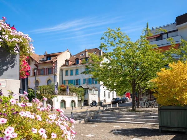 Chaleureux appartement - Chêne-Bourg 1