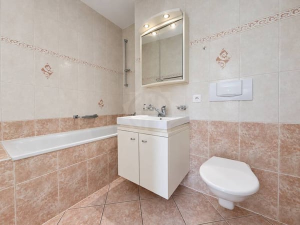 Chaleureux appartement - Le Grand-Saconnex 10