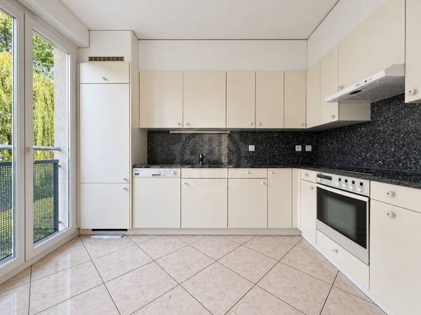 Chaleureux appartement - Le Grand-Saconnex 6