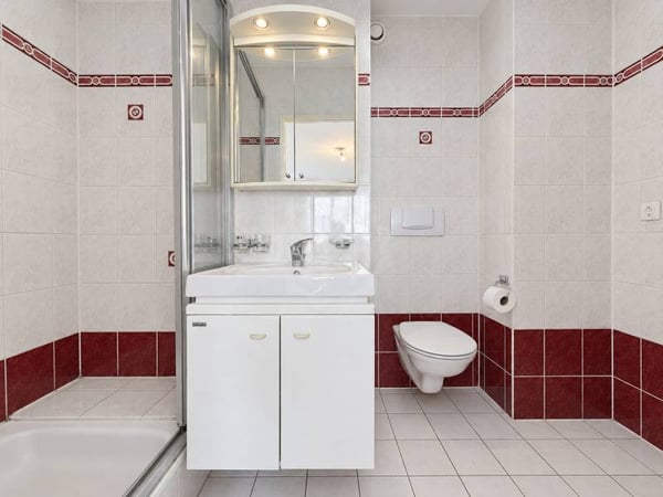 Chaleureux appartement - Le Grand-Saconnex 11