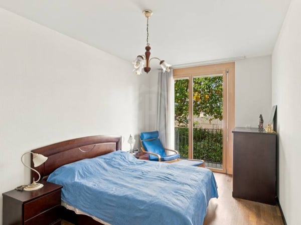 Bel appartement - Meyrin 7