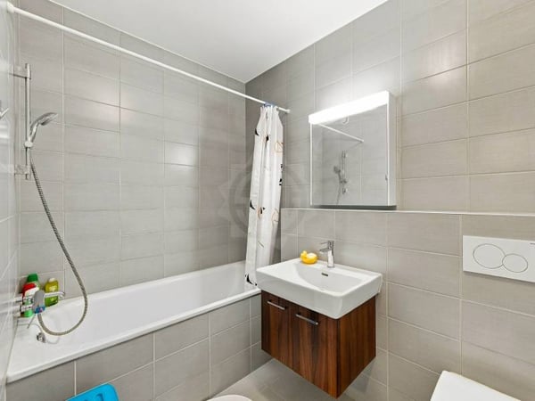 Bel appartement - Meyrin 8