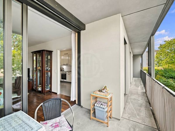 Bel appartement - Meyrin 1