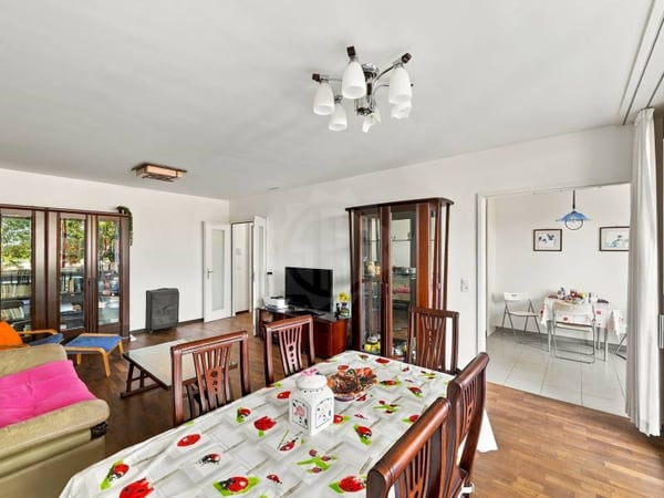 Bel appartement - Meyrin 3