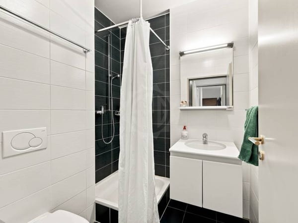 Appartement lumineux - Versoix 7