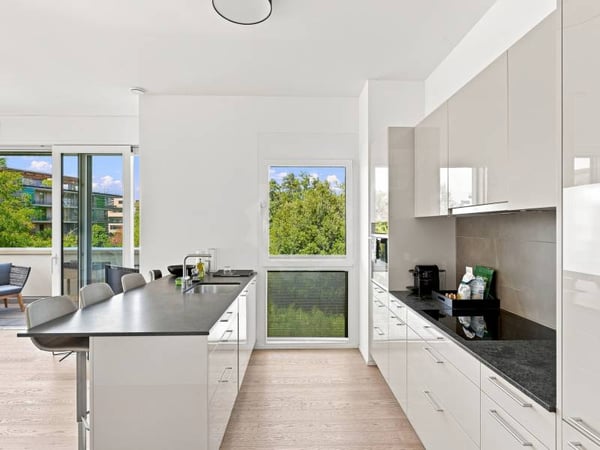 Appartement contemporain - Plan-les-Ouates 4