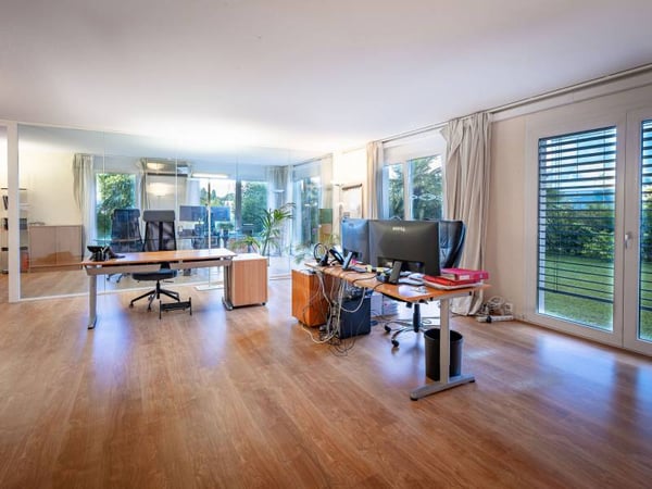 Local commercial d'exception avec jardin privatif 4