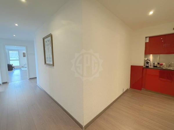 Spacieux et lumineux bureau dans les hauts de Nyon 7