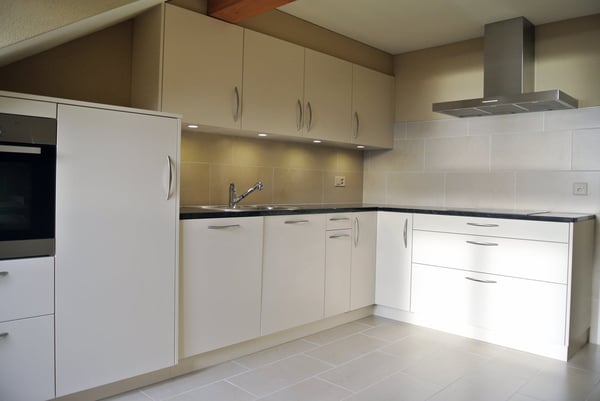 Superbe appartement traversant avec vue imprenable sur le lac Léman – Cully 11