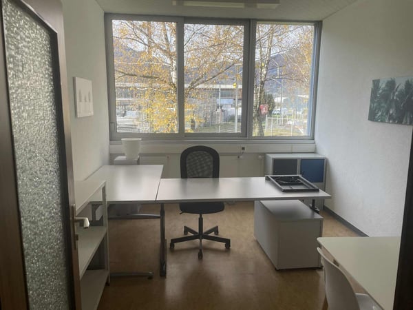 Espace industriel composé de surfaces de 14 m2 à 106 m2 à Bex - Idéal pour activités commerciales 9