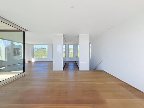 Magnifique villa moderne sur les hauteurs de Morges 7