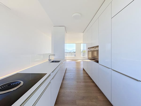 Magnifique villa moderne sur les hauteurs de Morges 3
