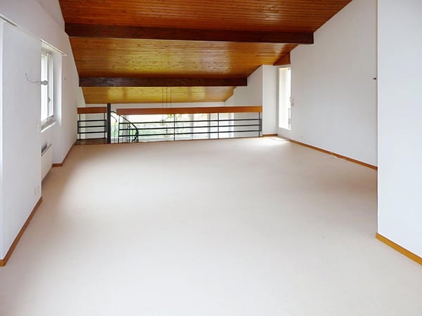 Villa familiale avec grand jardin ? Founex 8